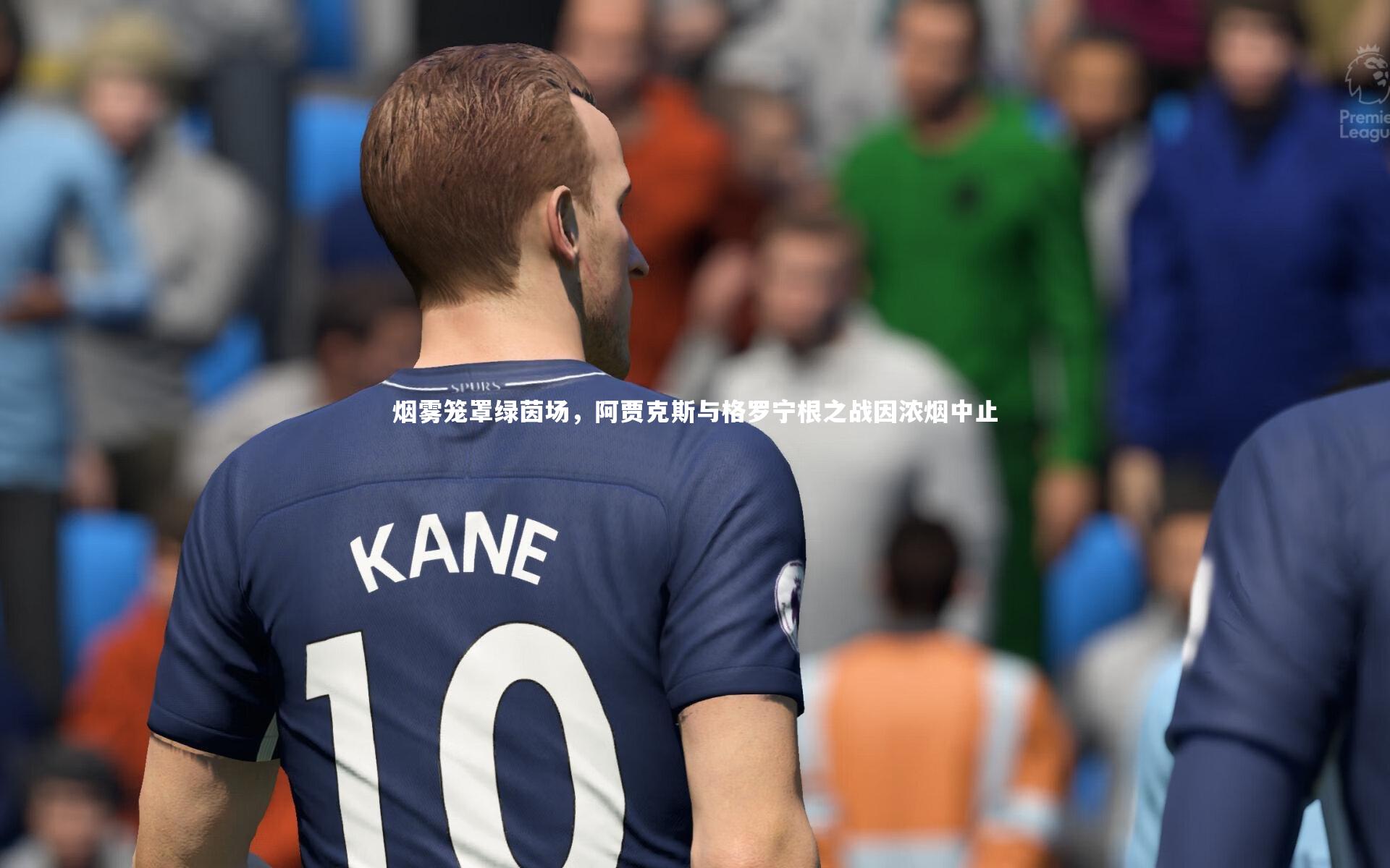 烟雾笼罩绿茵场，阿贾克斯与格罗宁根之战因浓烟中止